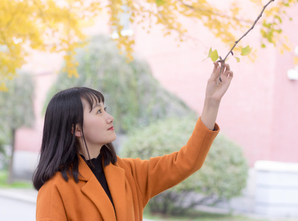 外交部菲律宾(外交部全面解说)